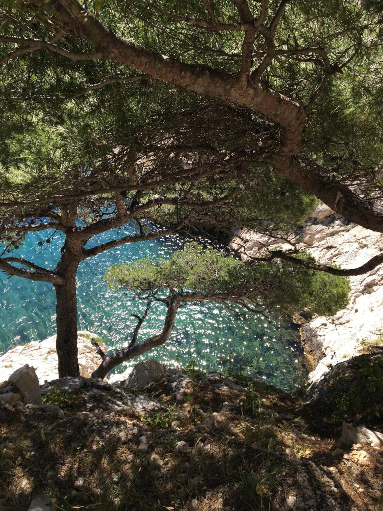 Typique Cabanon Familial Holiday home Marseille